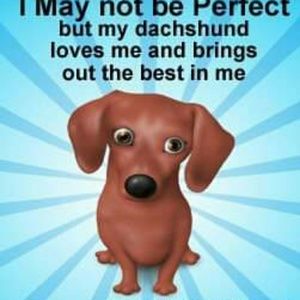 Meet your Posher, Dee